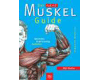 Muskel Guide für Männer